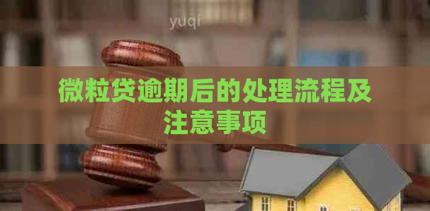 微粒贷逾期后的处理流程及注意事项