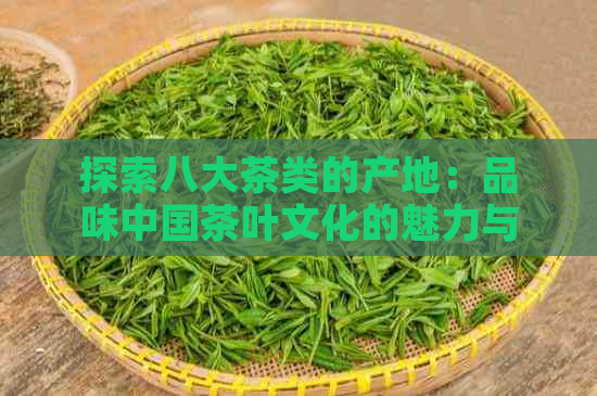 探索八大茶类的产地：品味中国茶叶文化的魅力与差异