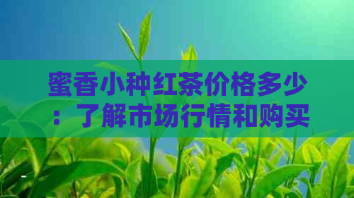 蜜香小种红茶价格多少：了解市场行情和购买指南