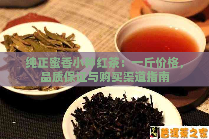 纯正蜜香小种红茶：一斤价格，品质保证与购买渠道指南