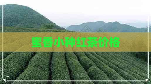 蜜香小种红茶价格