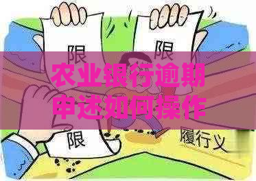 农业银行逾期申述如何操作