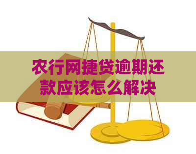 农行网捷贷逾期还款应该怎么解决