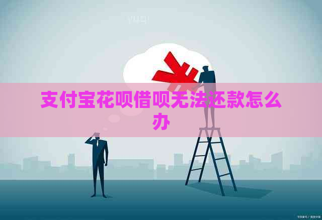 支付宝花呗借呗无法还款怎么办