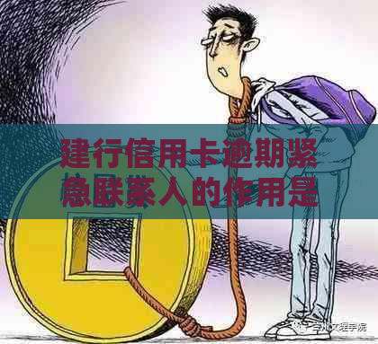 建行信用卡逾期紧急联系人的作用是什么