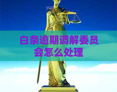 白条逾期调解委员会怎么处理