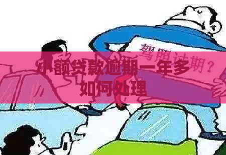 小额贷款逾期一年多如何处理