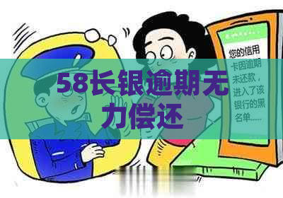 58长银逾期无力偿还