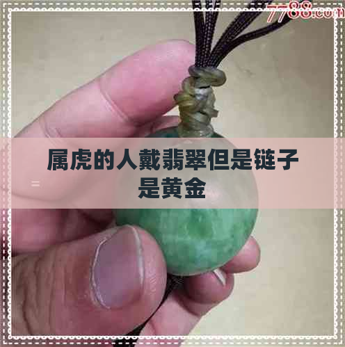 属虎的人戴翡翠但是链子是黄金