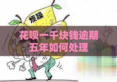 花呗一千块钱逾期五年如何处理