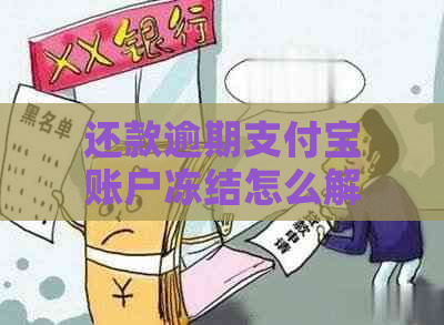 还款逾期支付宝账户冻结怎么解决