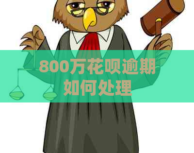 800万花呗逾期如何处理