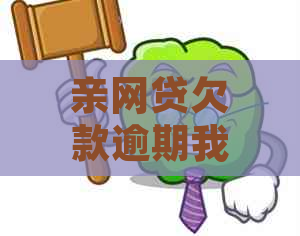 亲网贷欠款逾期我被