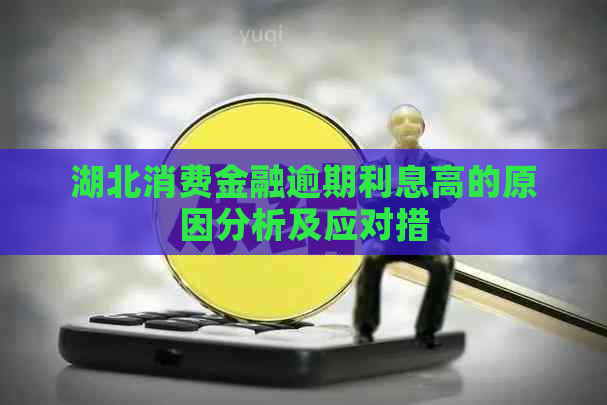 湖北消费金融逾期利息高的原因分析及应对措