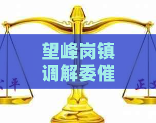 望峰岗镇调解委是真的吗