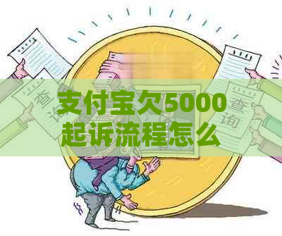 支付宝欠5000起诉流程怎么办