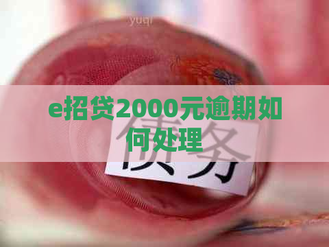 e招贷2000元逾期如何处理