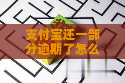 支付宝还一部分逾期了怎么办