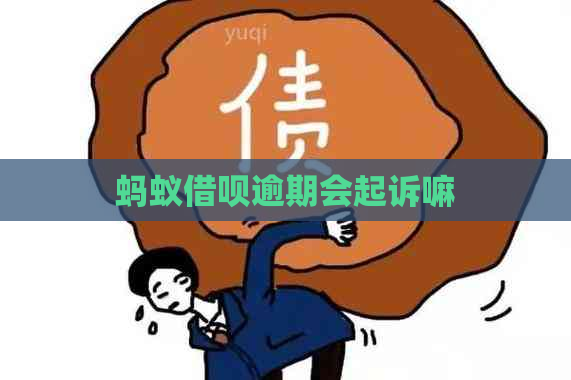 蚂蚁借呗逾期会起诉嘛