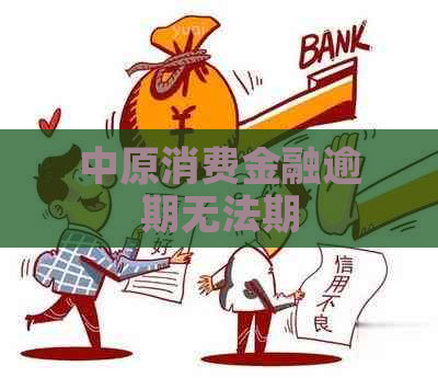 中原消费金融逾期无法期