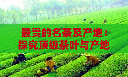 最贵的名茶及产地：探究顶级茶叶与产地间的奥秘