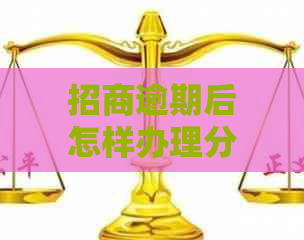 招商逾期后怎样办理分期付款