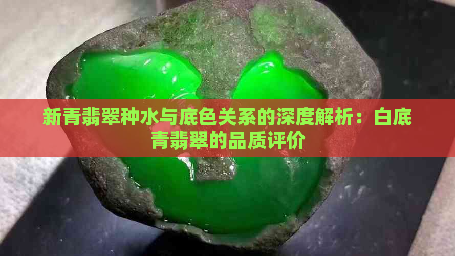 新青翡翠种水与底色关系的深度解析：白底青翡翠的品质评价