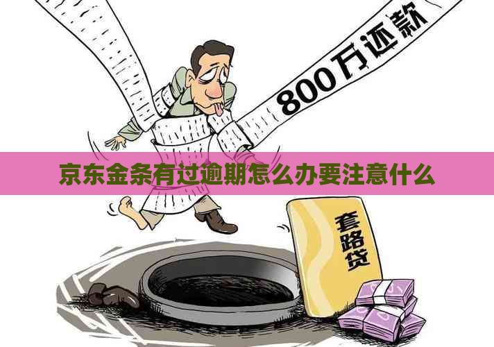 京东金条有过逾期怎么办要注意什么