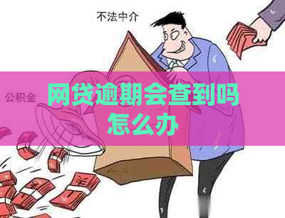 网贷逾期会查到吗怎么办