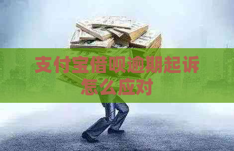 支付宝借呗逾期起诉怎么应对