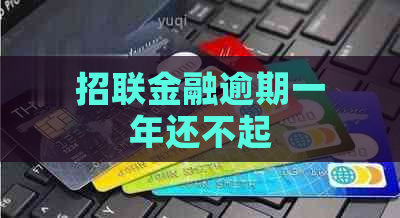 招联金融逾期一年还不起