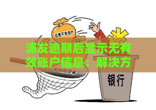 浦发逾期后显示无有效账户信息：解决方法与相关疑问解答