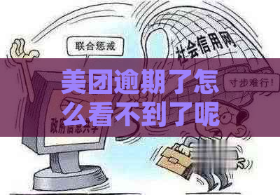 美团逾期了怎么看不到了呢怎么回事-美团逾期了怎么看不到了呢怎么回事儿