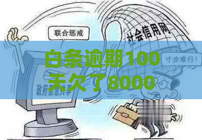 白条逾期100天欠了8000