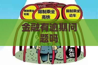 金融有逾期问题吗