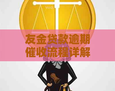 友金贷款逾期流程详解