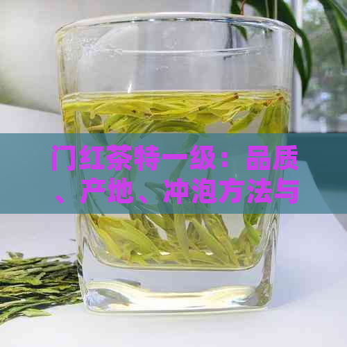 门红茶特一级：品质、产地、冲泡方法与口感全解析