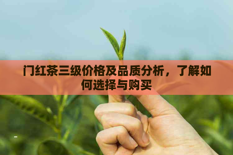 门红茶三级价格及品质分析，了解如何选择与购买