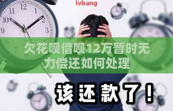 欠花呗借呗12万暂时无力偿还如何处理