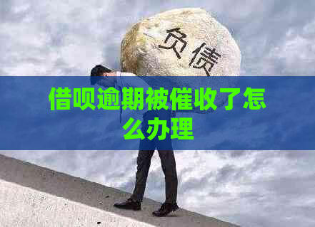 借呗逾期被了怎么办理