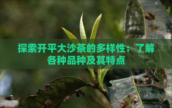 探索开平大沙茶的多样性：了解各种品种及其特点