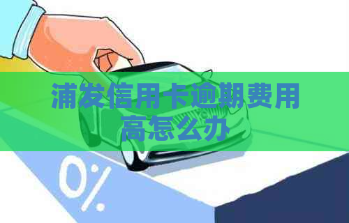 浦发信用卡逾期费用高怎么办