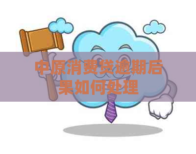 中原消费贷逾期后果如何处理