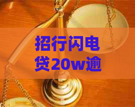 招行闪电贷20w逾期协商流程详解