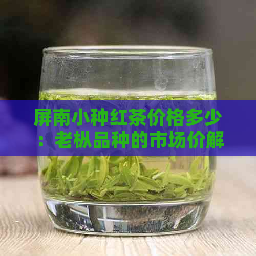 屏南小种红茶价格多少：老枞品种的市场价解析