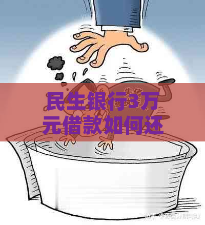 民生银行3万元借款如何还款