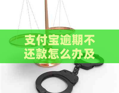 支付宝逾期不还款怎么办及相关问题解答