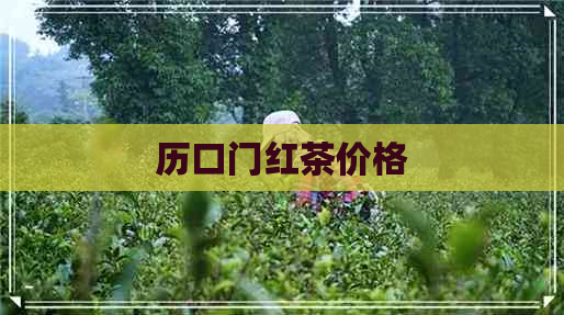 历口门红茶价格