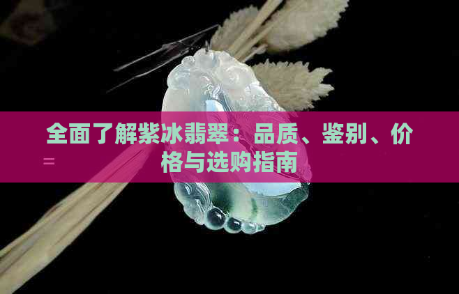 全面了解紫冰翡翠：品质、鉴别、价格与选购指南