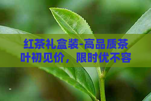 红茶礼盒装-高品质茶叶初见价，限时优不容错过！